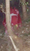 372128_trim.jpg